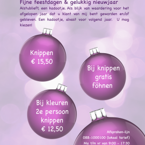 fijnefeestdagenkado-2021
